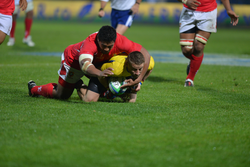 Romania v Tonga - November 2013