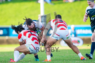 World Rugby Pacific Nations Cup 2019